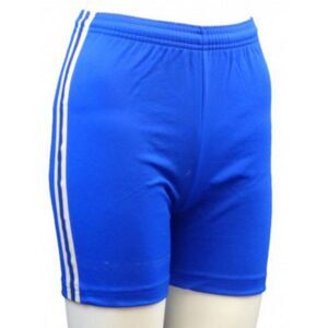 Carta Sport Womens/Ladies Stripe Shorts / Royal Blue/White